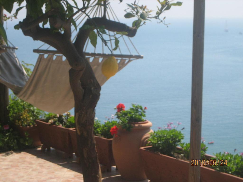 Villa Marietta Minori Exterior photo
